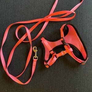 Black and Pink harness and leash